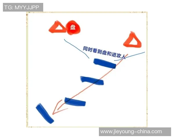 飞盘战术：上海飞盘队的区域防守体系