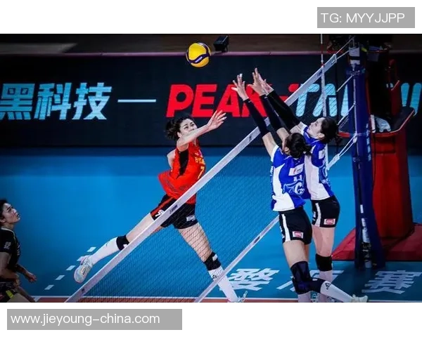 专业解读：杭州排球队的盯防打法